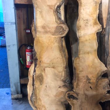 Kersen plataan essen boomstambladen in aanbieding