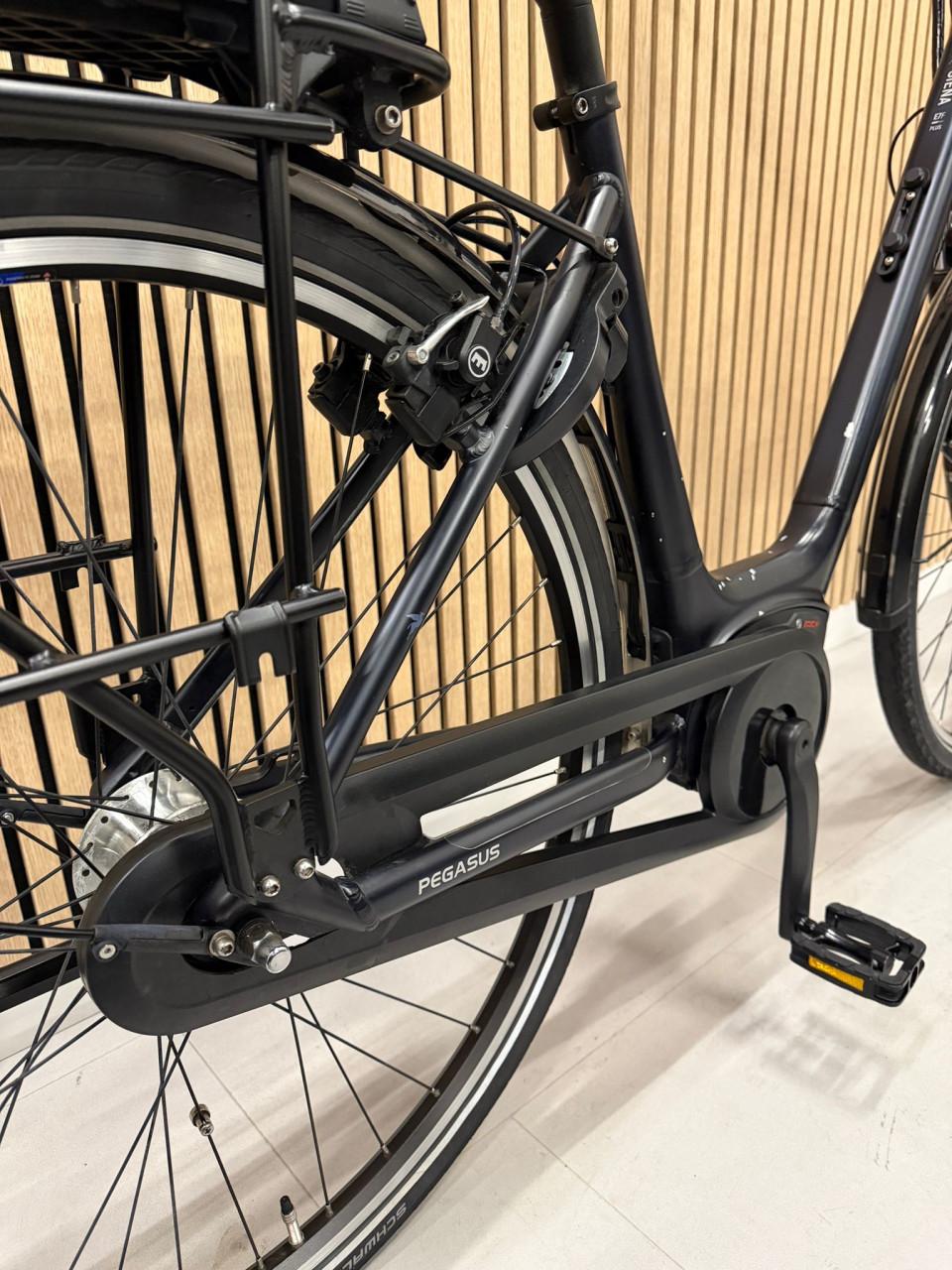 Pegasus Siena E7F Bosch Active Line Plus 50CM 400Wh 8873KM