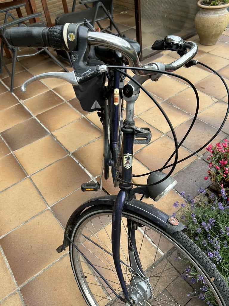 Damesfiets lage instap union
