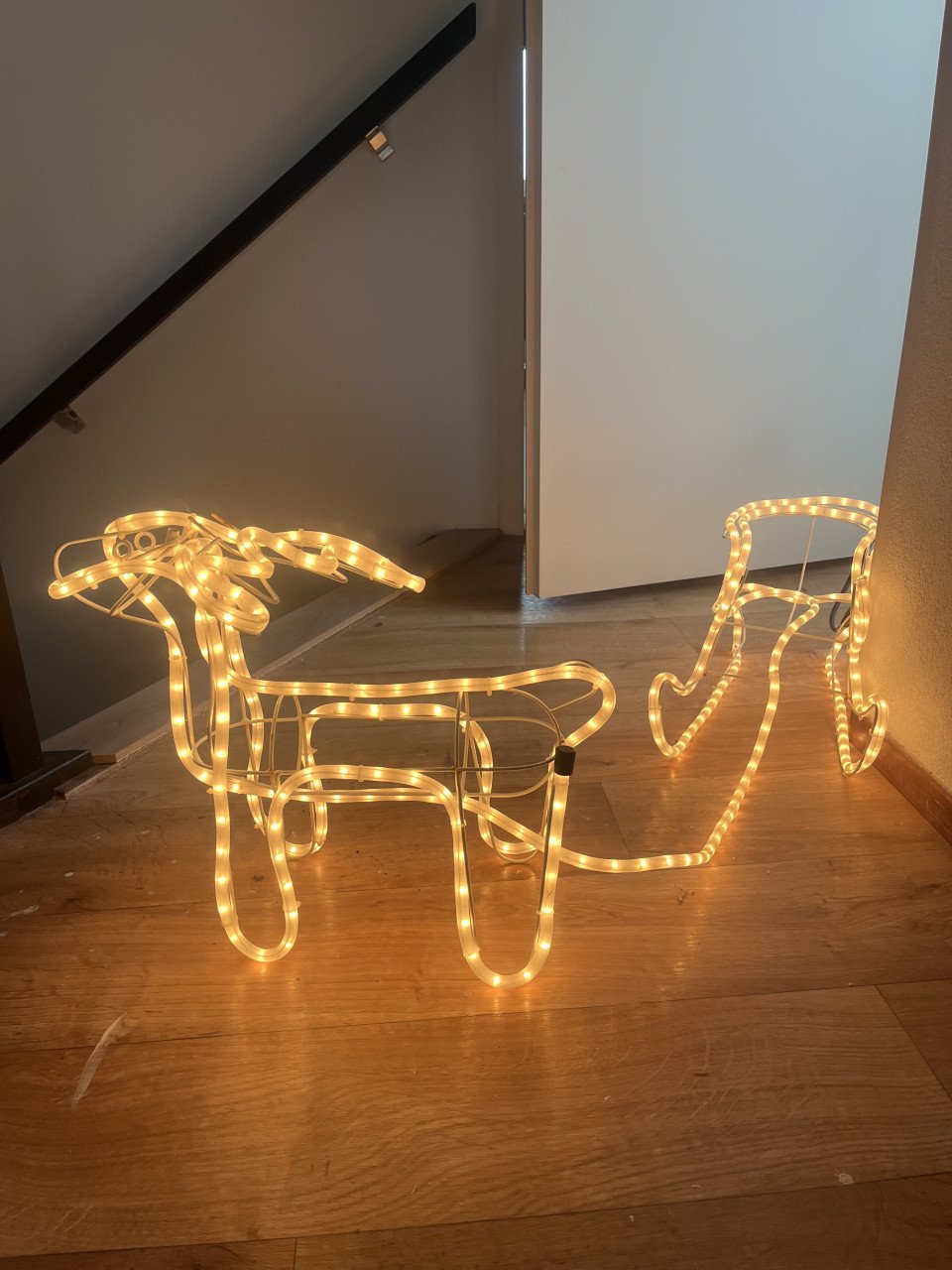 Rendier met slee verlichting