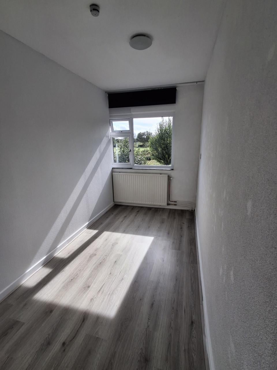 Nette kamers Vlissingen