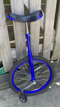 Eenwieler 20 inch wiel