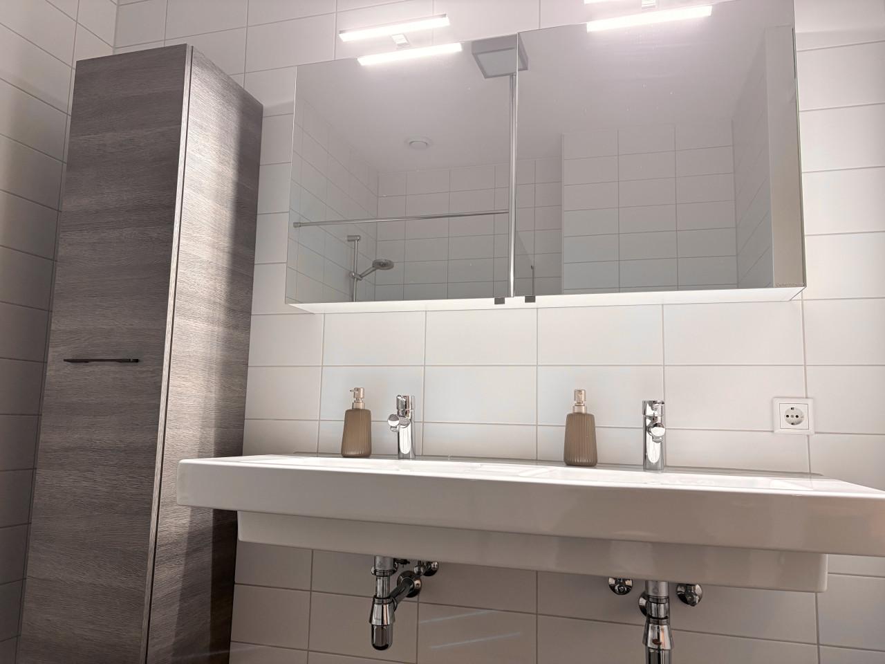 Dubbele wastafel en badkamerkast Plieger