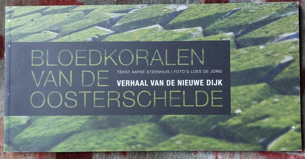 Zeeuws Boek