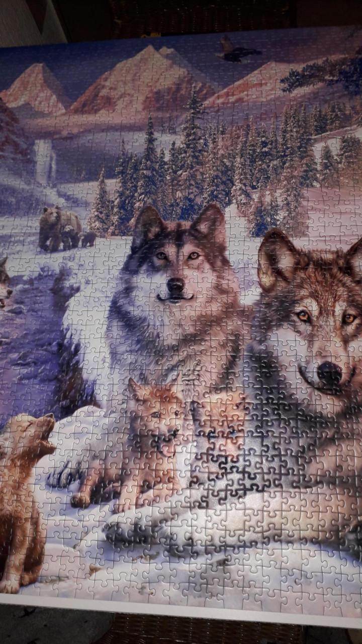 Puzzel 2000 stukjes wolven