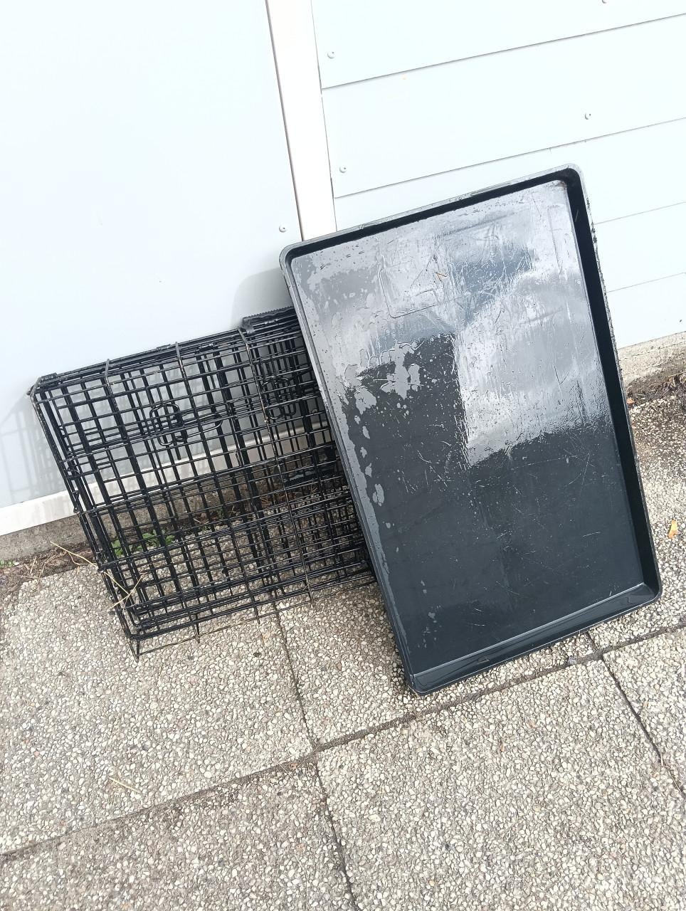 Honden bench