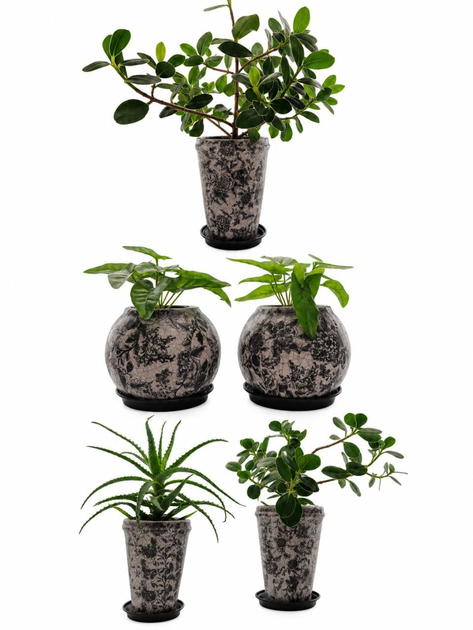 Keramiek bloempotten PTMD inclusief planten