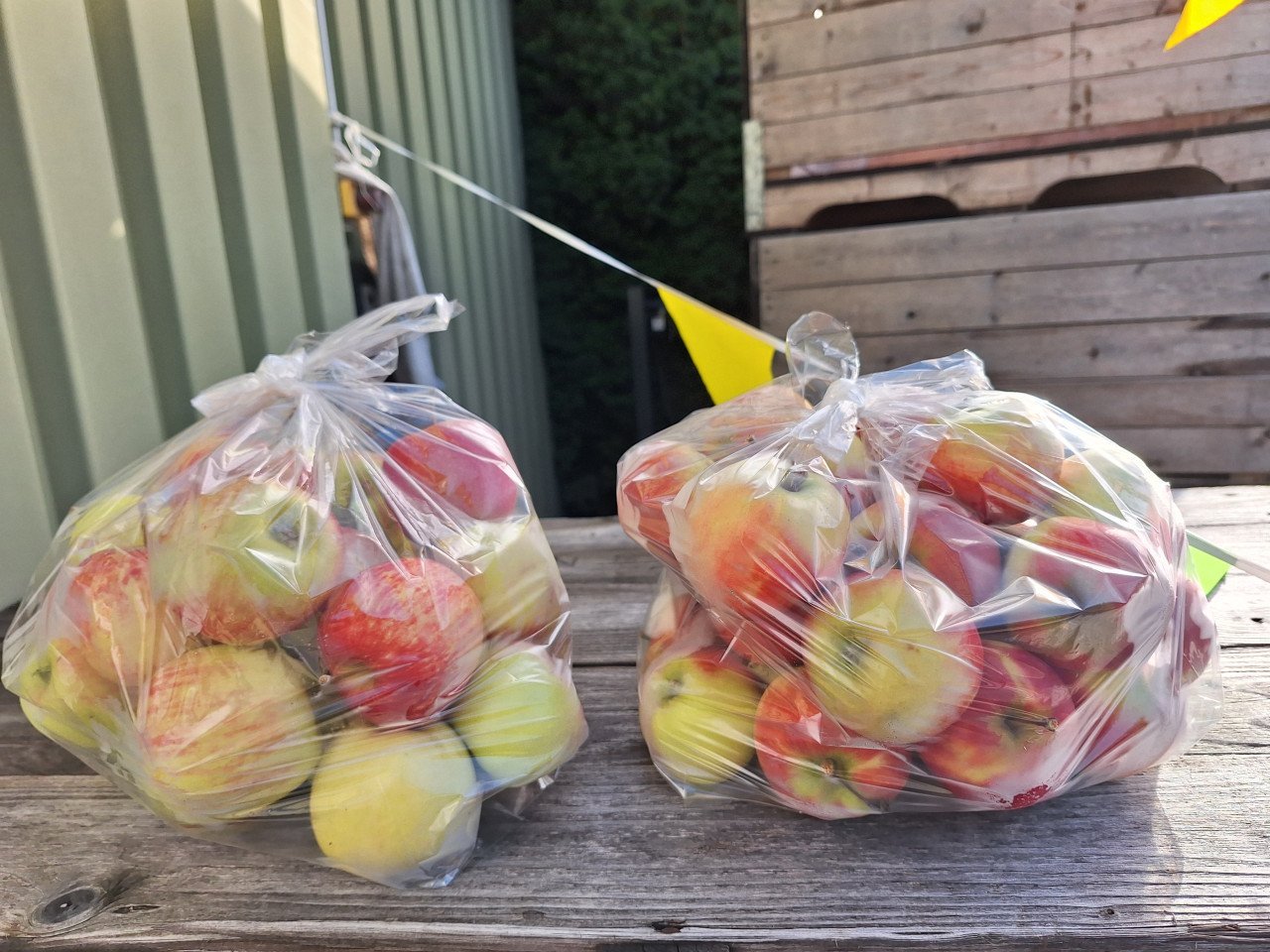 Lekker fruit aanbieding