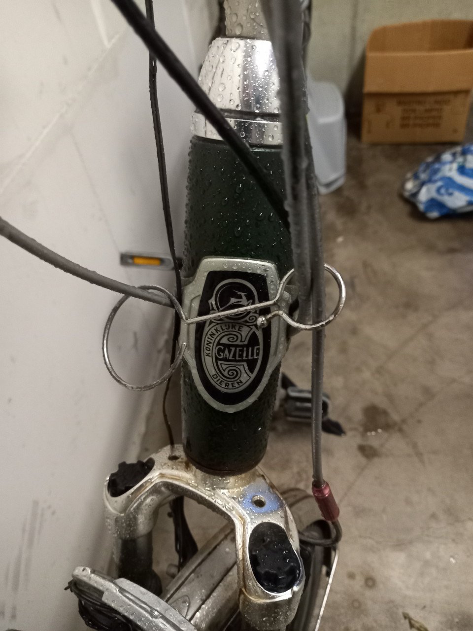 GAZELLE HERENFIETS