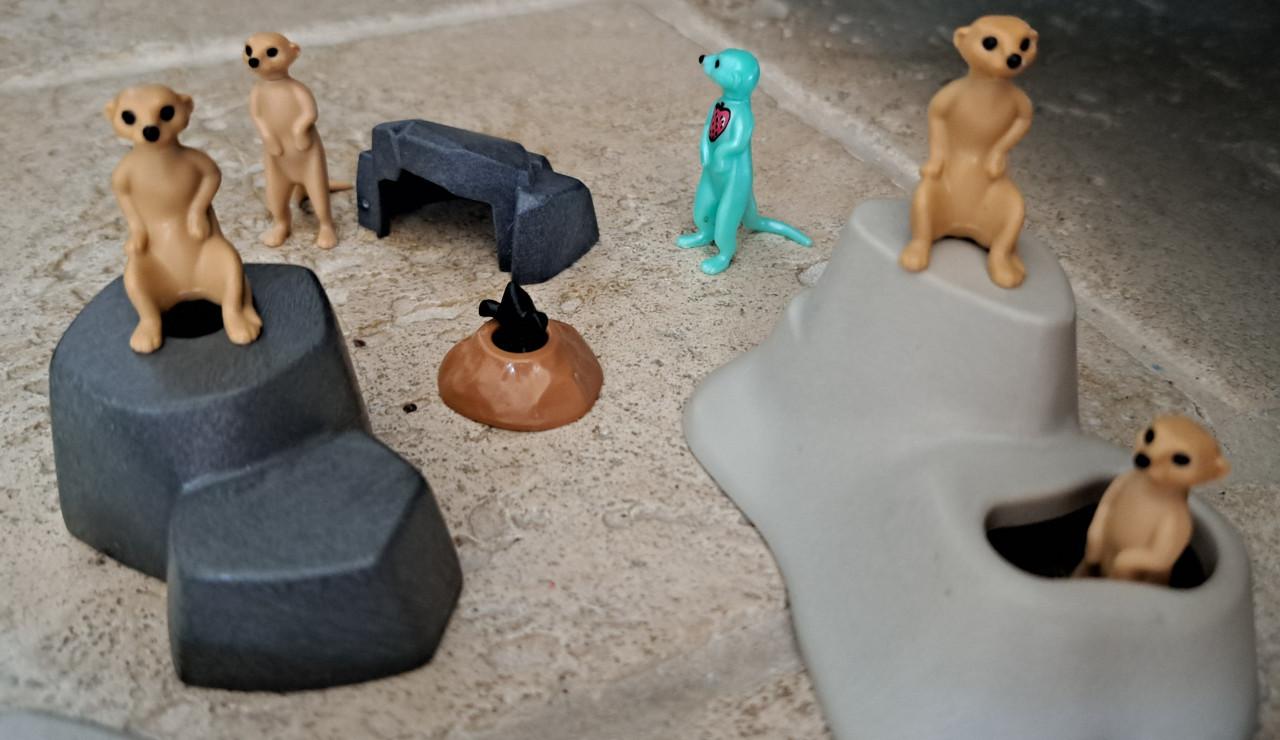 Playmobil dierenpark | dierentuin (My Life) + extra dieren