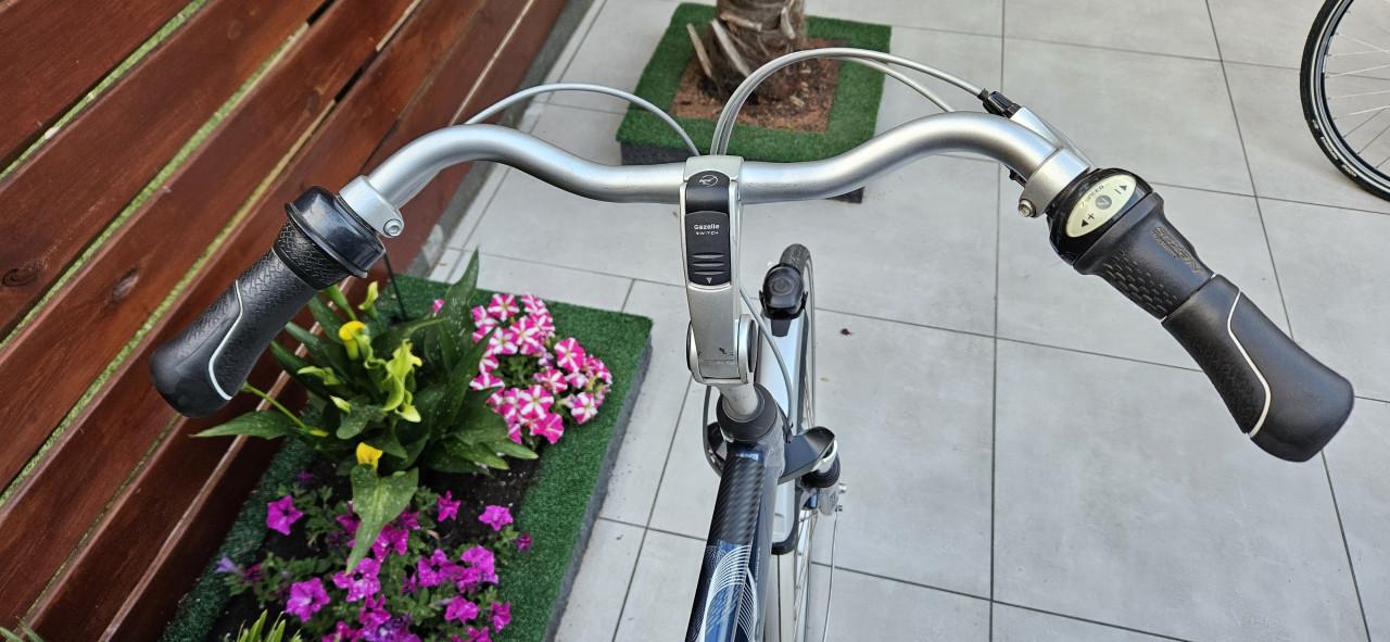 Gazelle  Grenoble  C 7 herenfiets