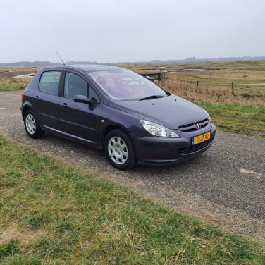 Peugeot 307 1.6-16V XS 5 deurs