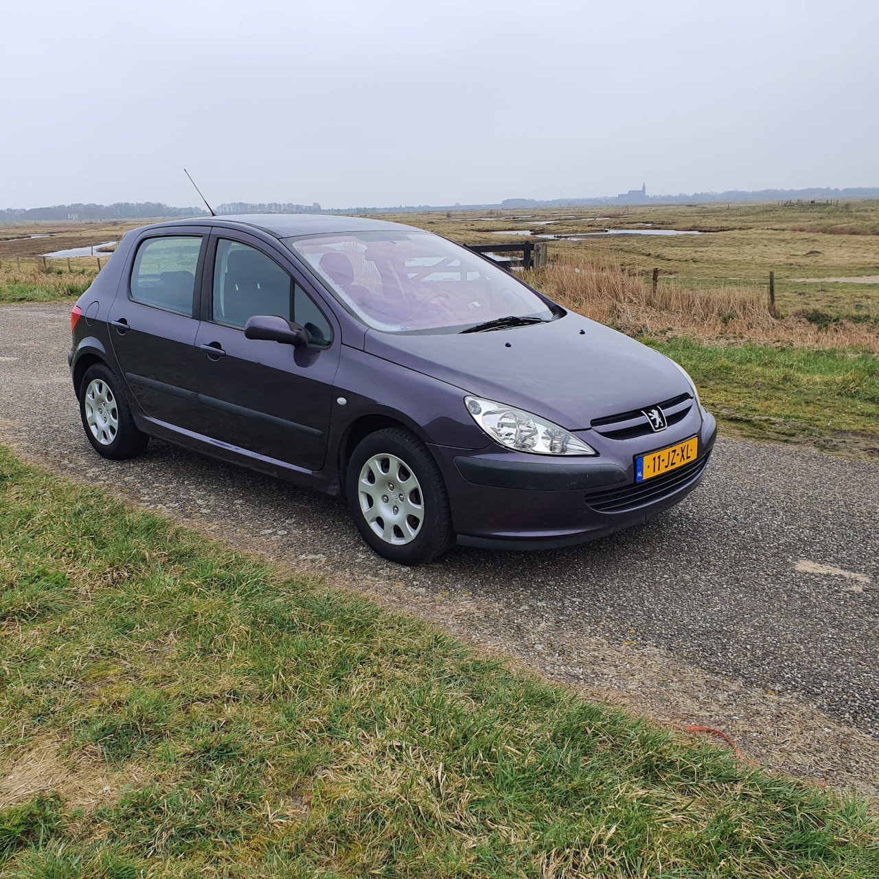Peugeot 307 1.6-16V XS 5 deurs