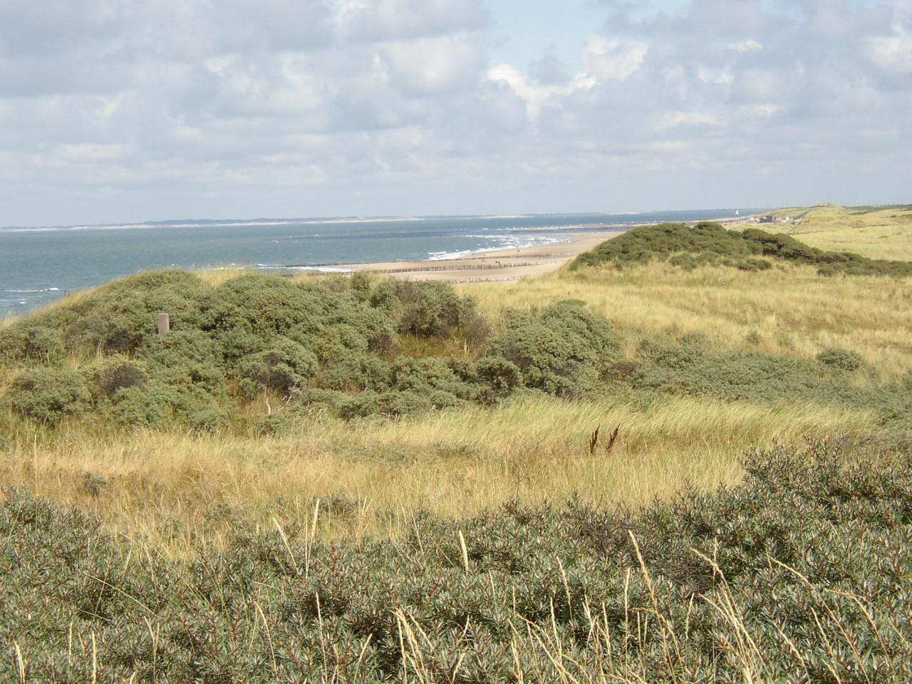 4p. vakantiebungalow, 10 min wandelen: zee, strand, duin en bos