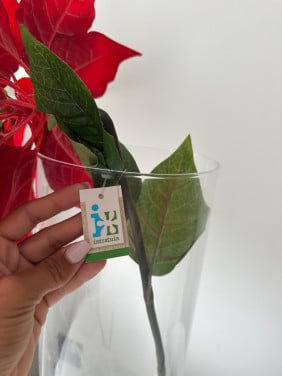 2 x bloemen nieuw