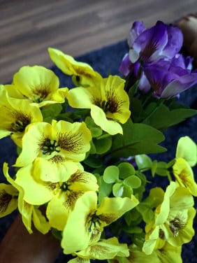 12 bosjes gele violen, 12 bosjes paarse violen
