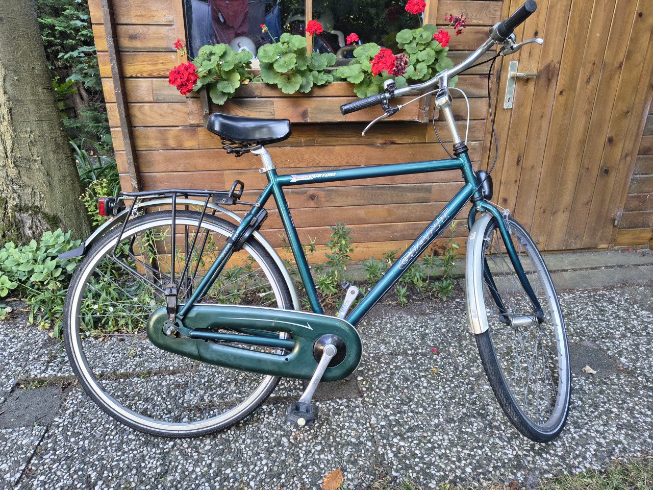 Giant fiets