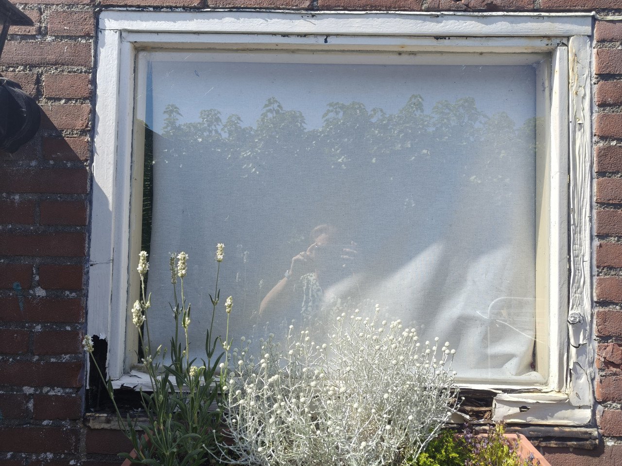 Nieuw kozijn laten zetten voor de schuur