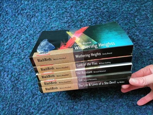 5 Engelse boeken. Al een aantal jaar oud, maar nog ongelezen. Black birds.