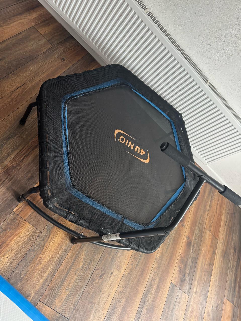 Sport mini trampoline