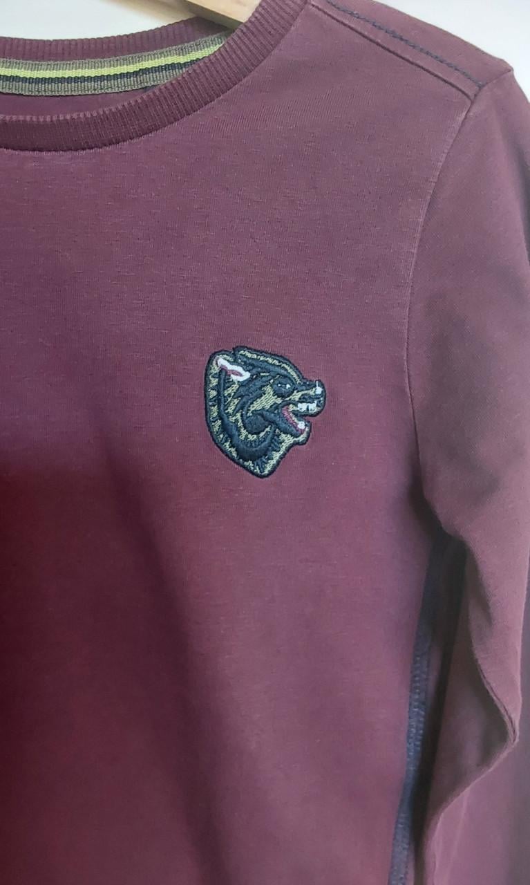 Paarse longsleeve van het merk Quapi in maat 110/116