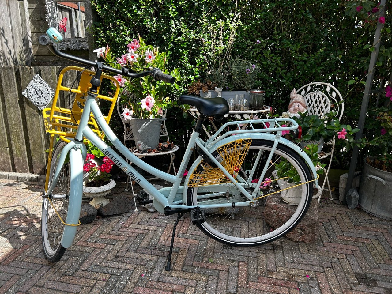 Tiener fiets