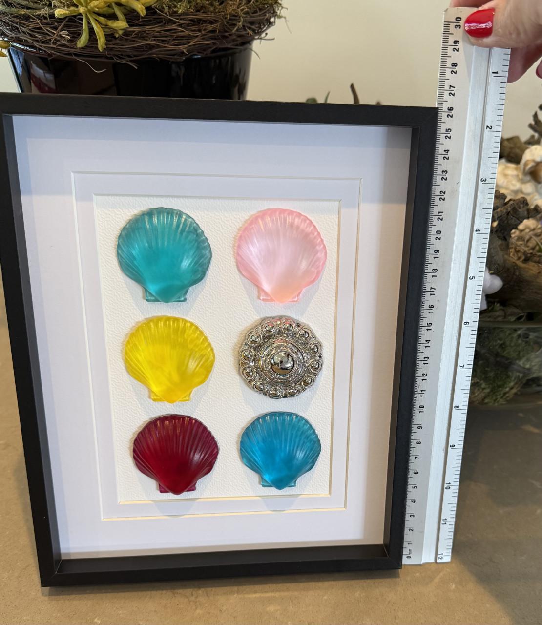 Zeeuwse knop en schelpen in lijst
