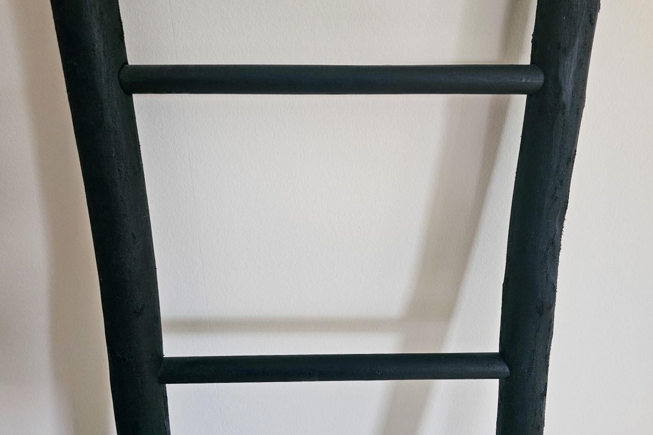 Decoratieve ladder zwart hout
