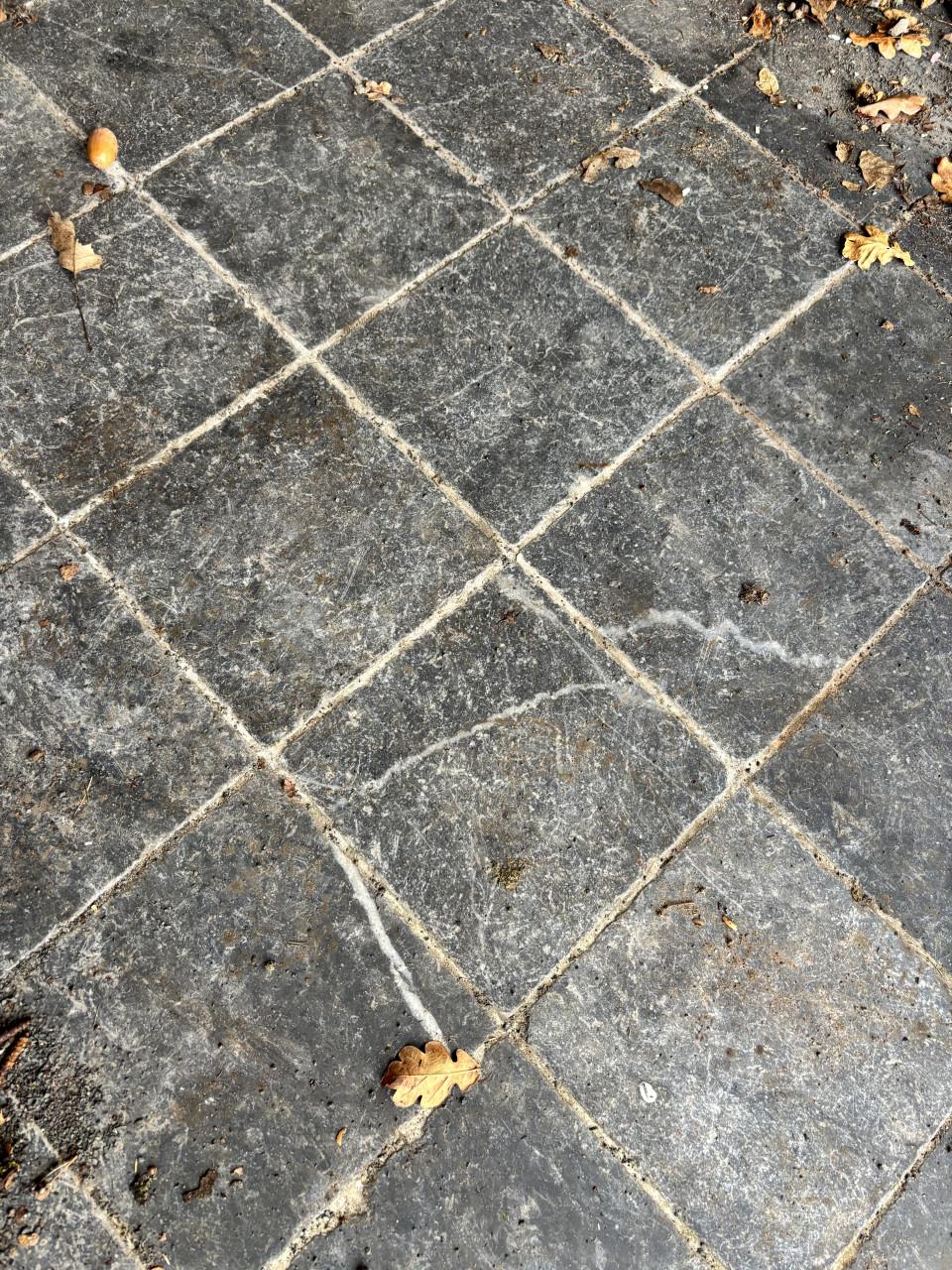 Portugese tegels te koop