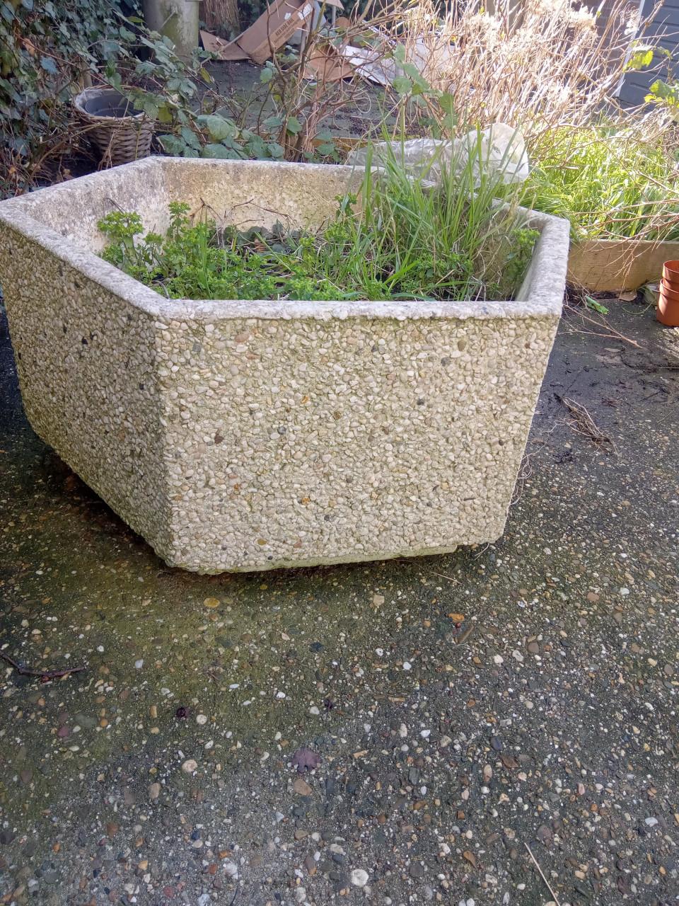 Grote betonnen plantenbak