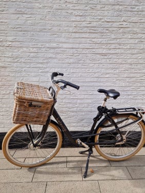 Batavus Mambo Deluxe
