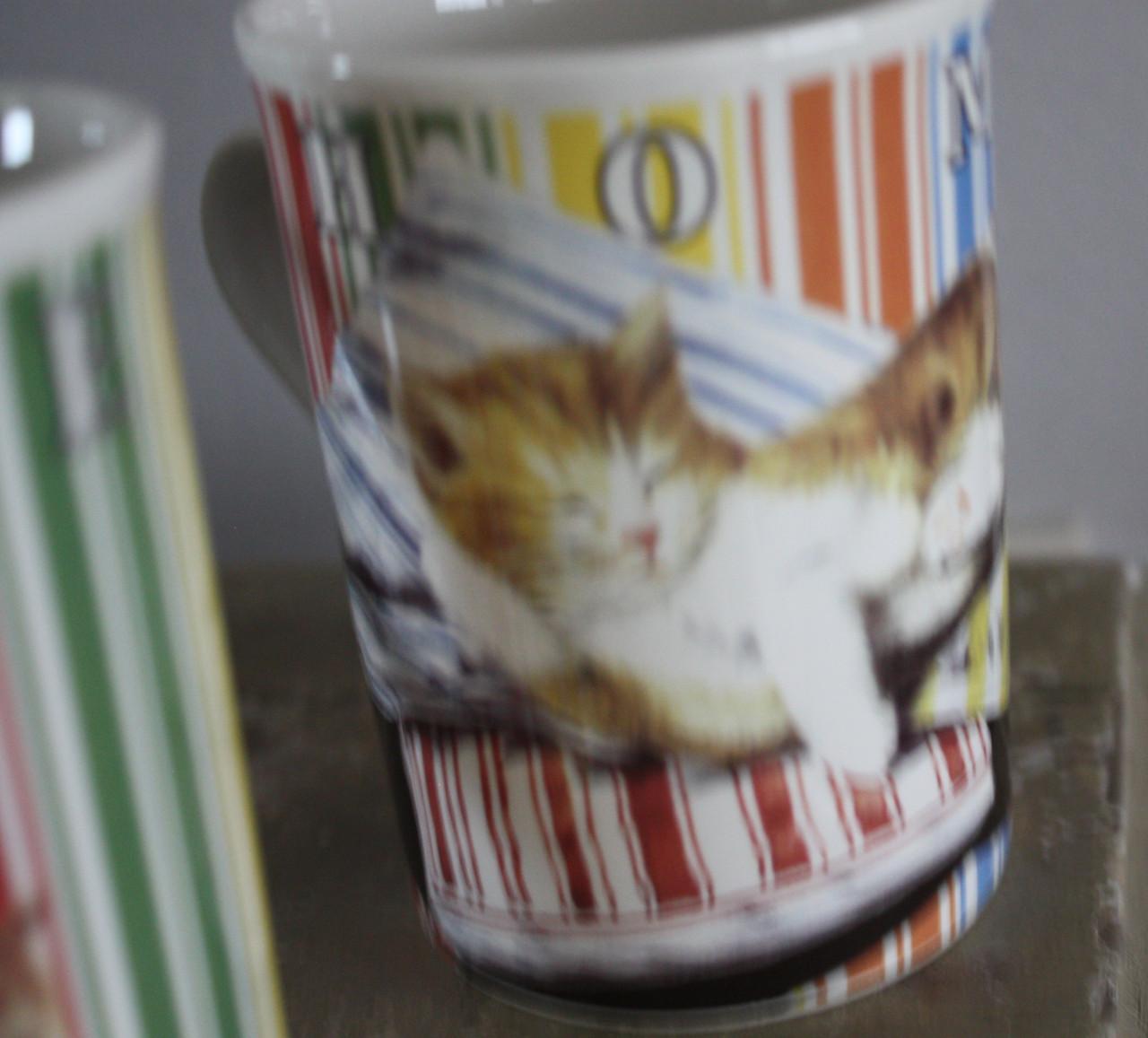 Set van 3 poezen mokken