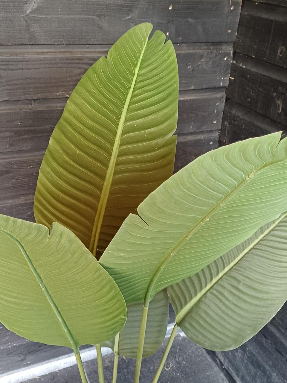 Kunst plant