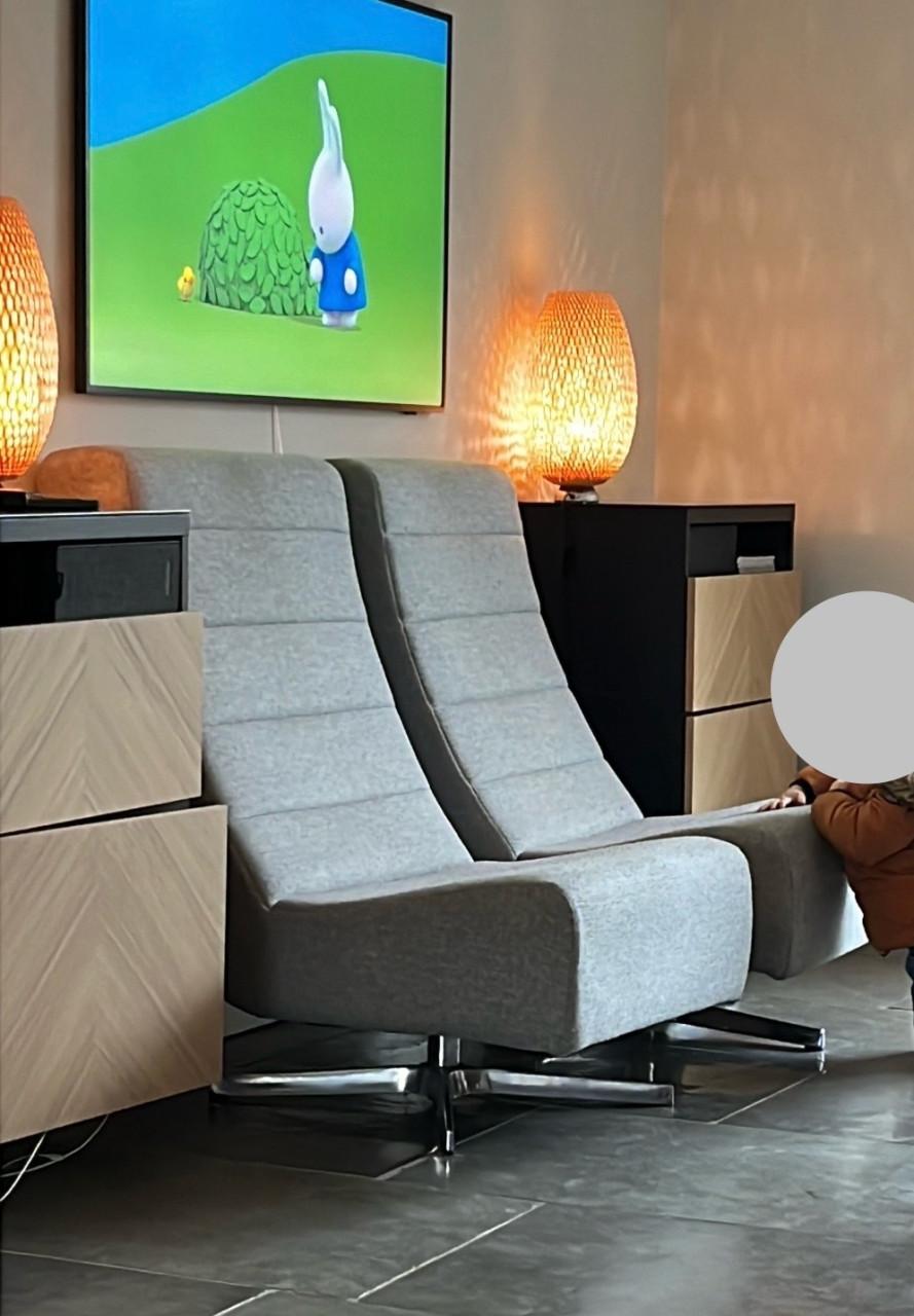 2 draaibare grijze fauteuils