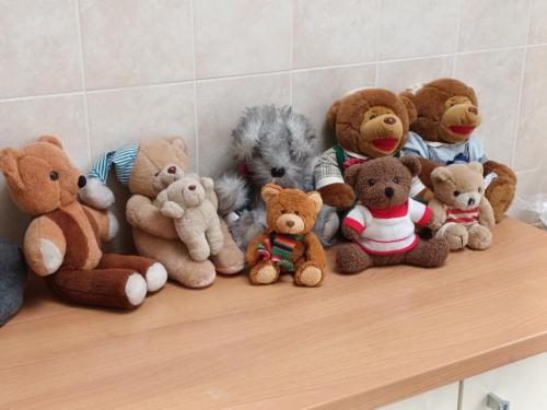 Acht stuks beren zoals de foto laat zien