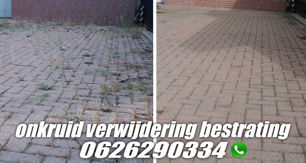 Onkruid verwijdering , maai en snoeiwerk