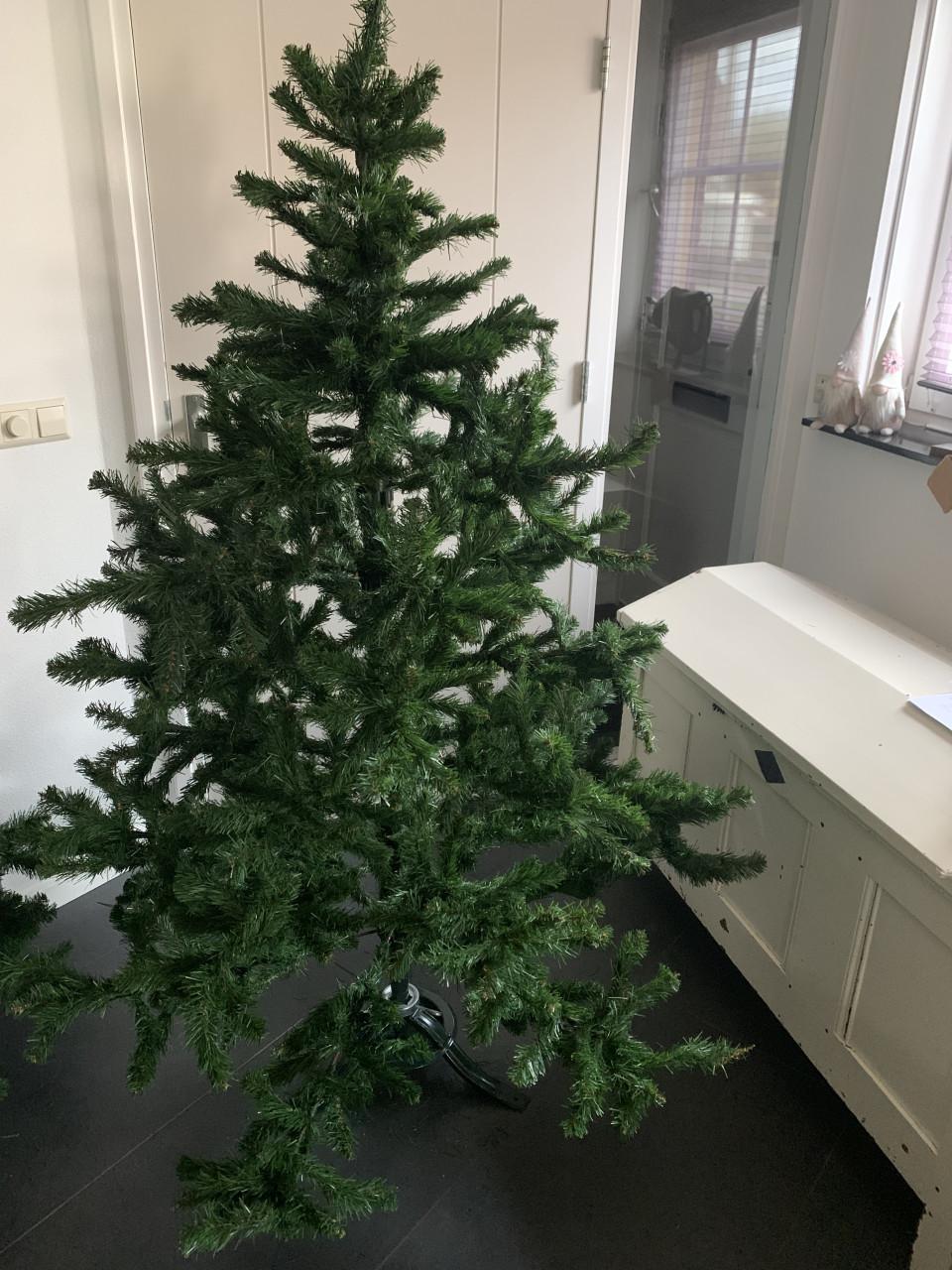 Kerstboom 1.70