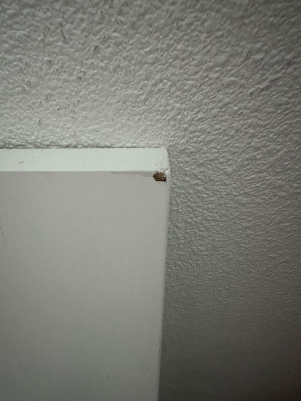 Ledikant Europe Baby Sterre incl. matras