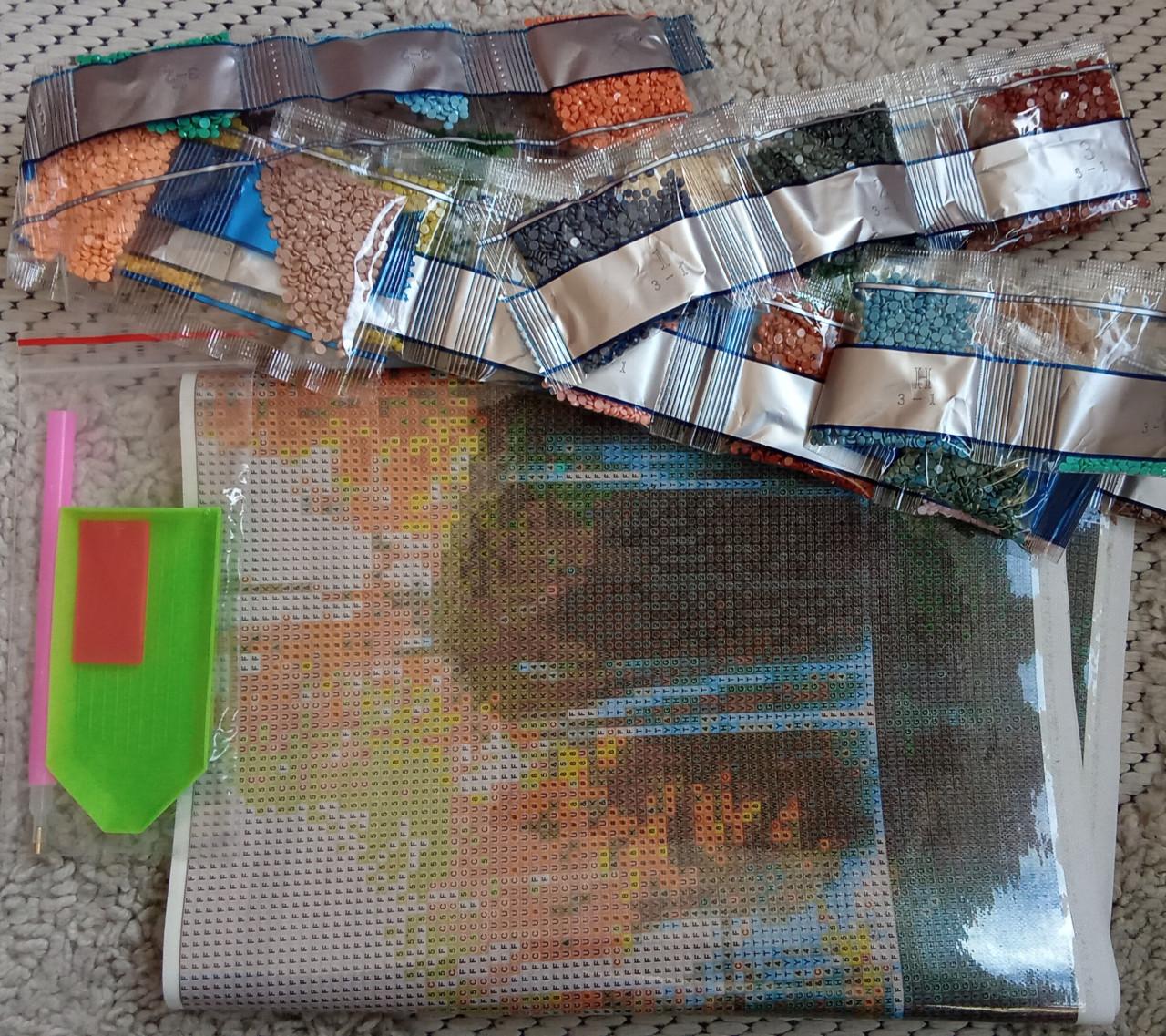 Nieuwe mooie Diamond painting  Leuke winter hobby