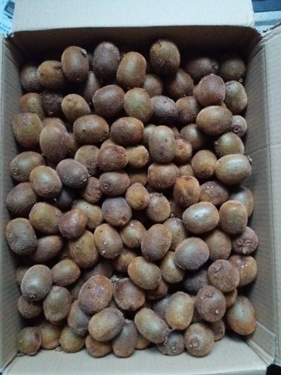 Kleine Kiwi's uit eigen tuin