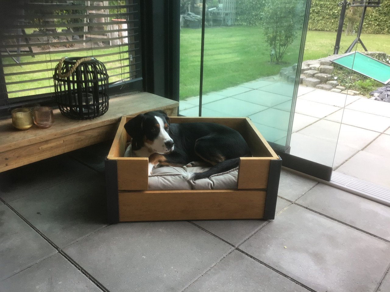 Te koop Hondenmand