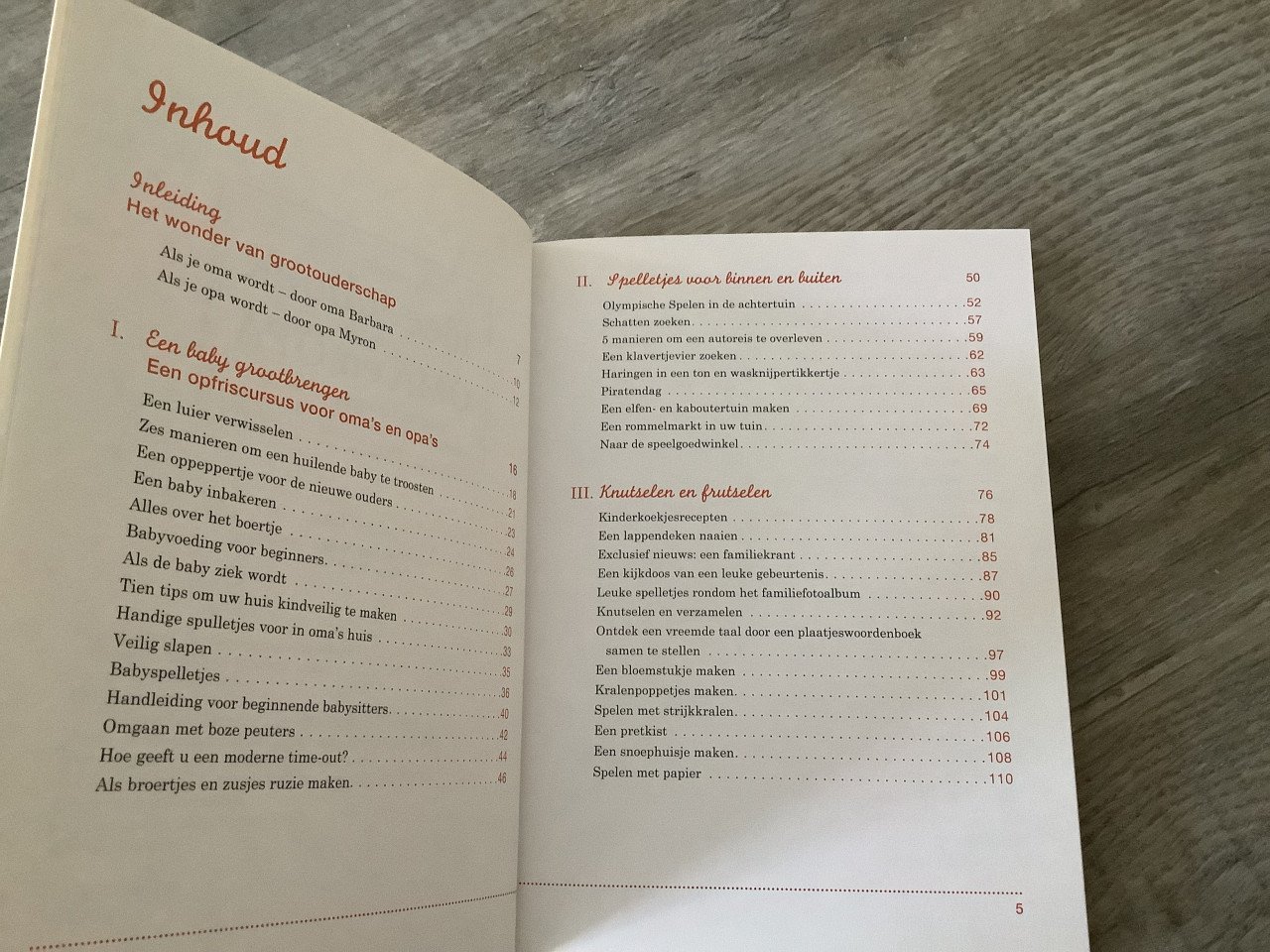 Het Superleuke Ideeenboek voor oma en opa