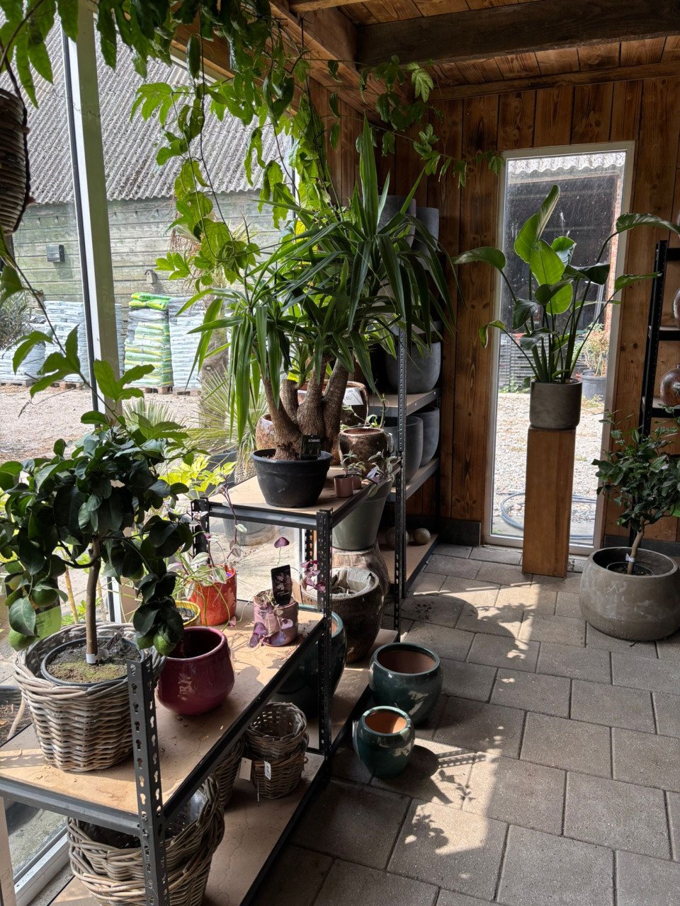 30% korting op alle planten, bomen en potten!