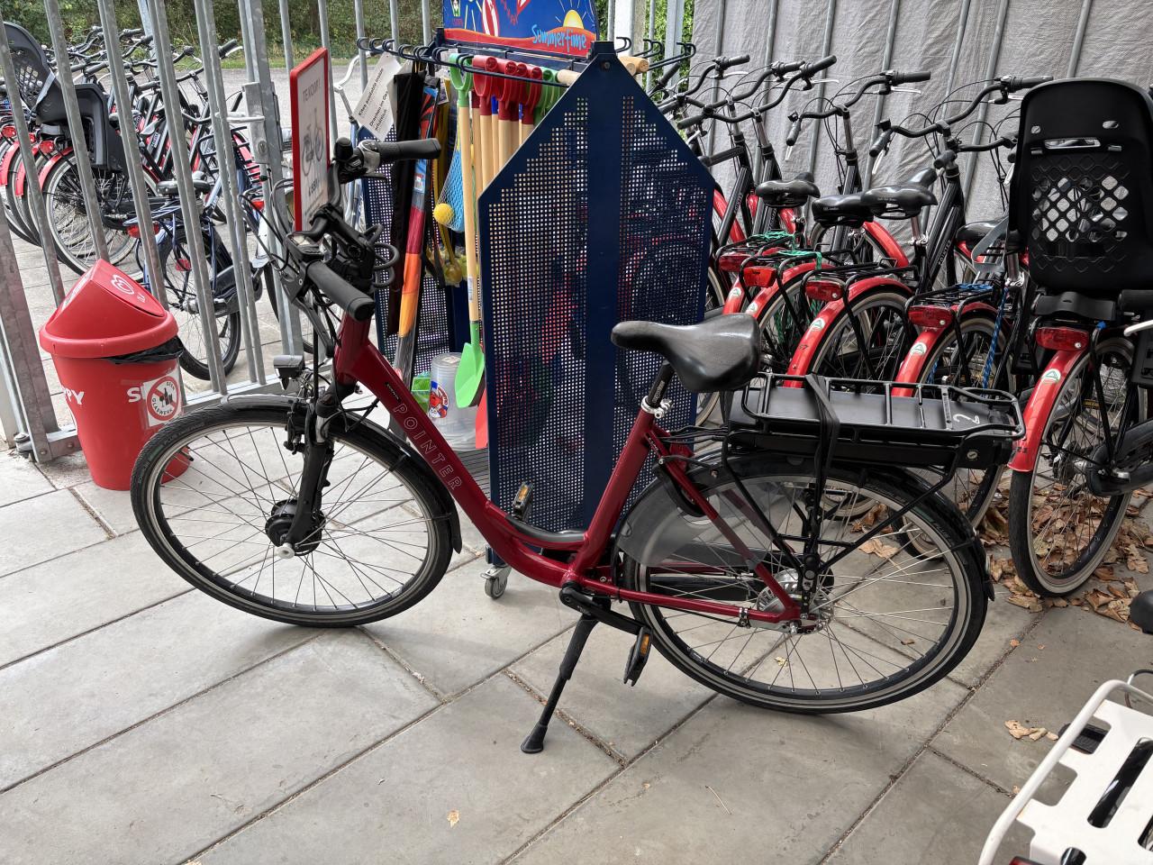 E-bike Pointer Edenta