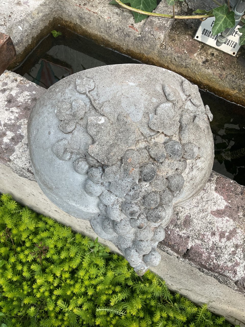 Betonnen plantenbak