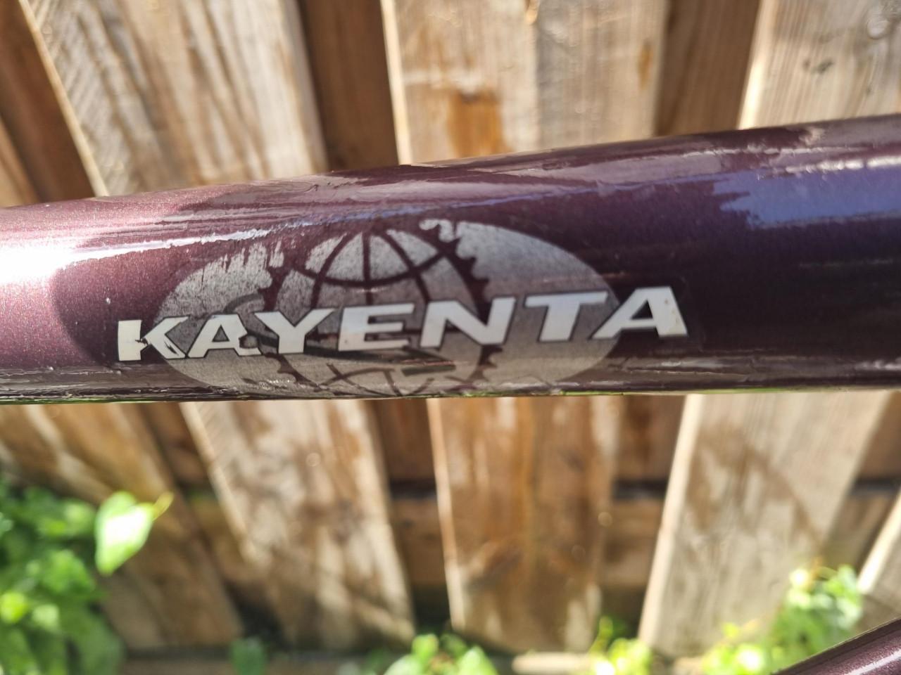 3 x Herenfiets *** BATAVUS - Kayenta *** & GIANT hoge.! & GAZELLE