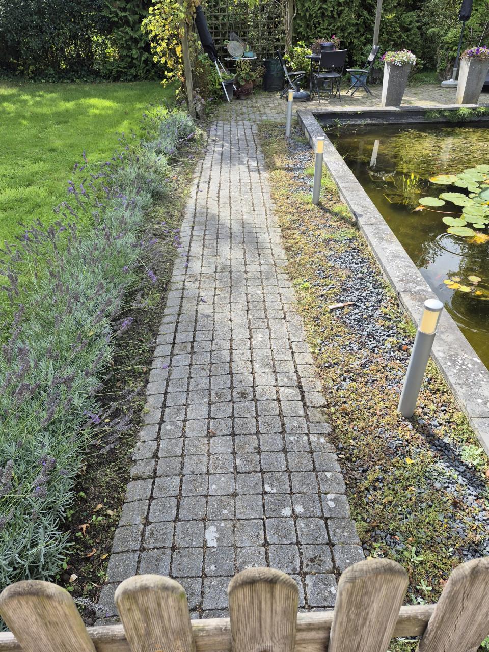 Betaalbare en Betrouwbare Tuinman gezocht? Beschikbaar!!