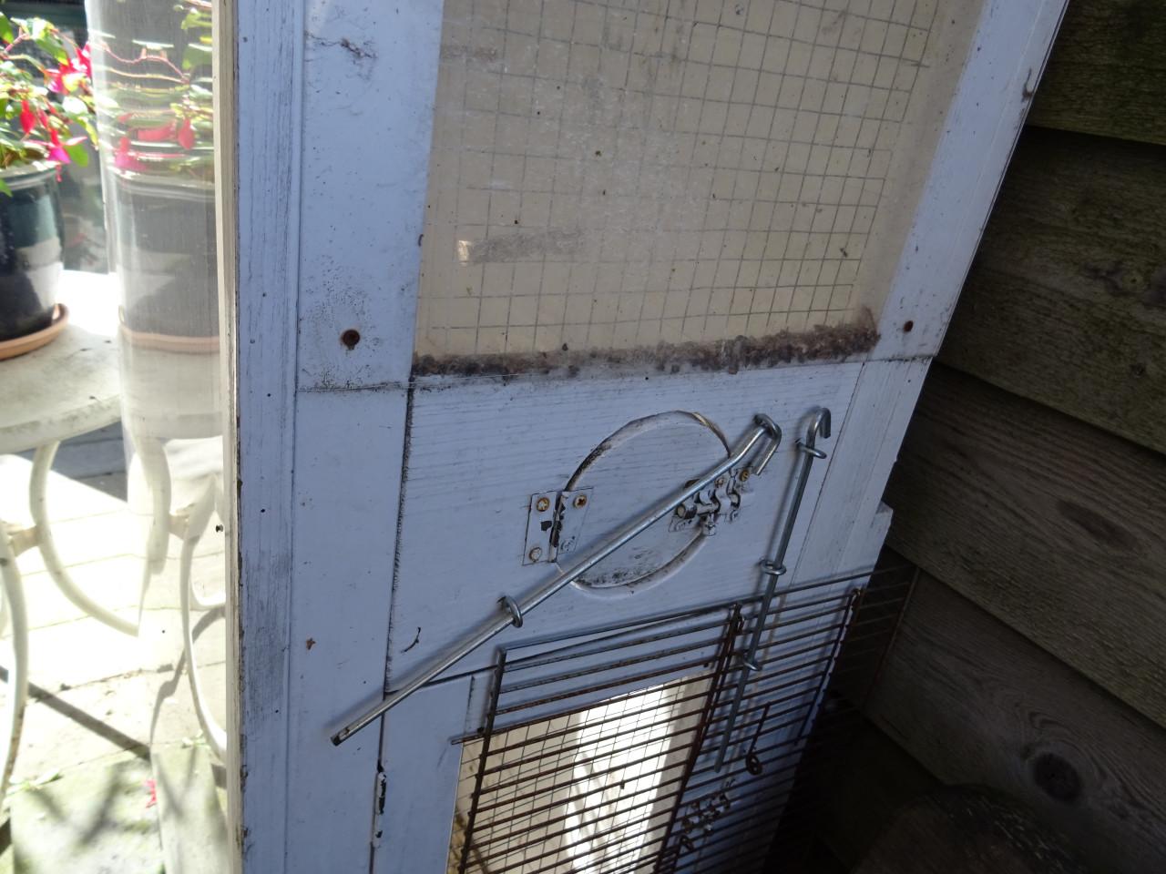 Te koop nog goed bruikbare vogelkooi ,voliere zie foto s