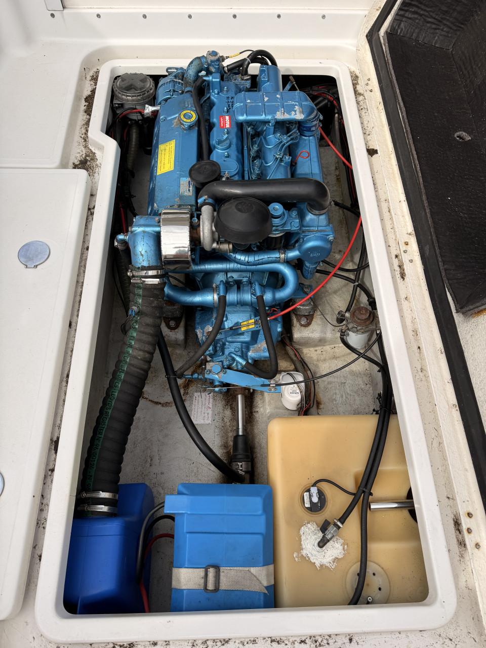 Visboot arvor 21