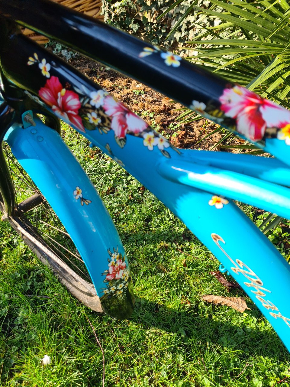 Tiki Beachcruiser, zeer apart.